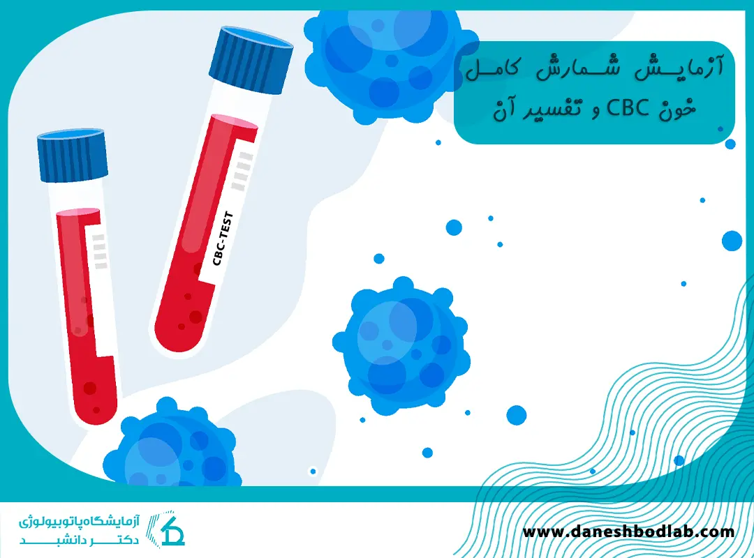 همه چیز درباره آزمایش خون CBC | راهنمای قدم به قدم برای بیماران