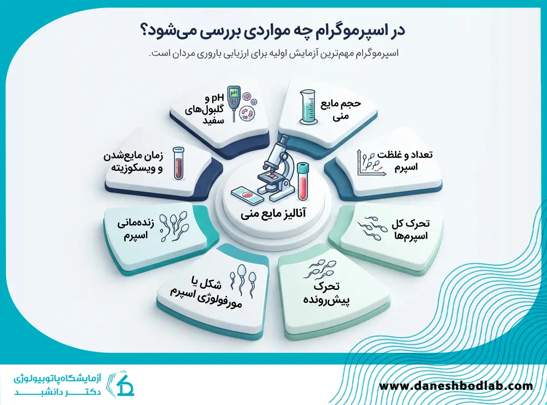 در اسپرموگرام چه مواردی بررسی میشود